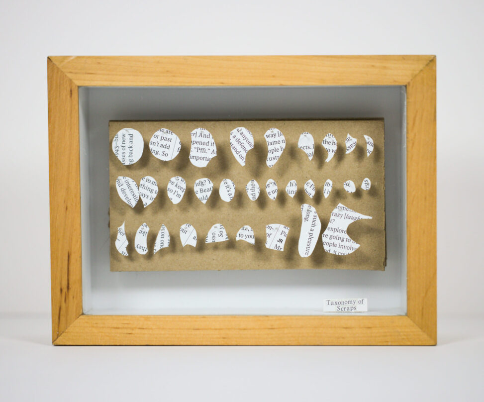 Taxonomy of Scraps, assemblage by Laura Kinney with printed paper scraps pinned in rows on cardboard in a homemade wood shadow box